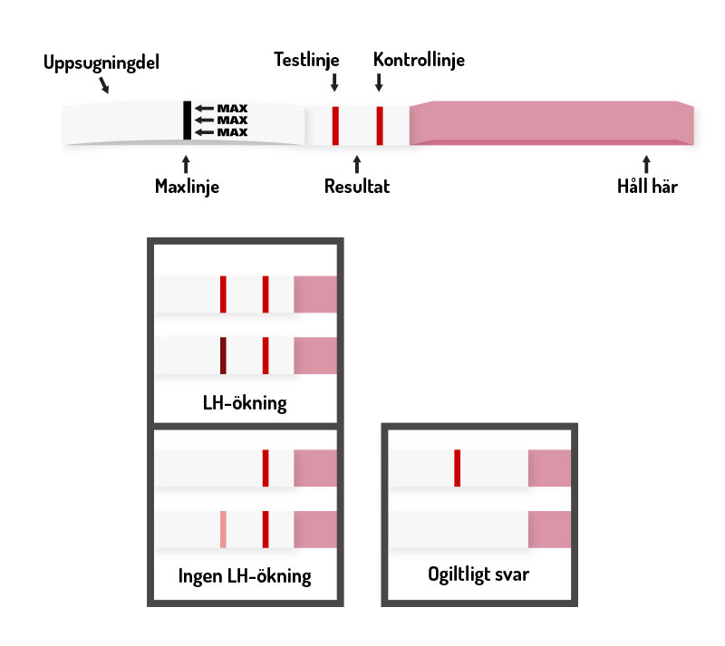 gglossningstest sticka