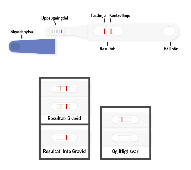 Graviditetstest Stav